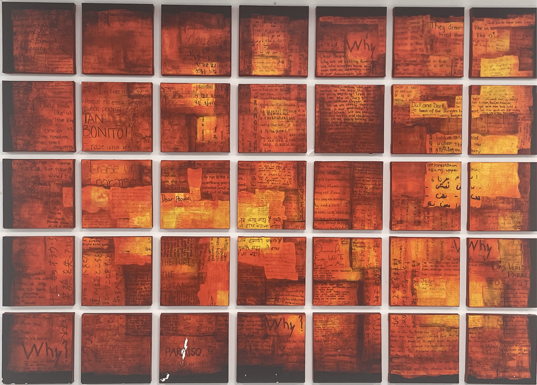 Navigating Language Diversity at MIS