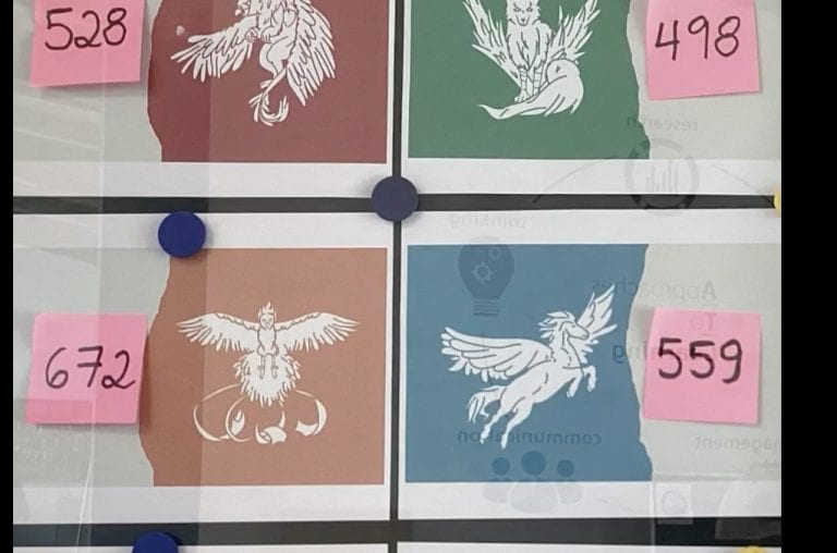 House Captains Celebrate School Spirit