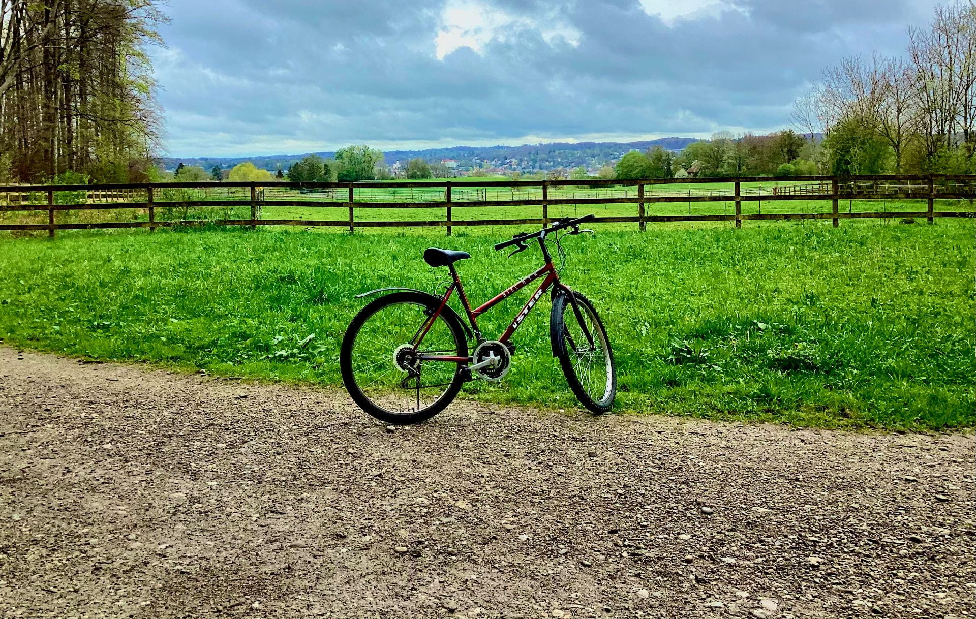 A New Route: Bike Path Comes to MIS