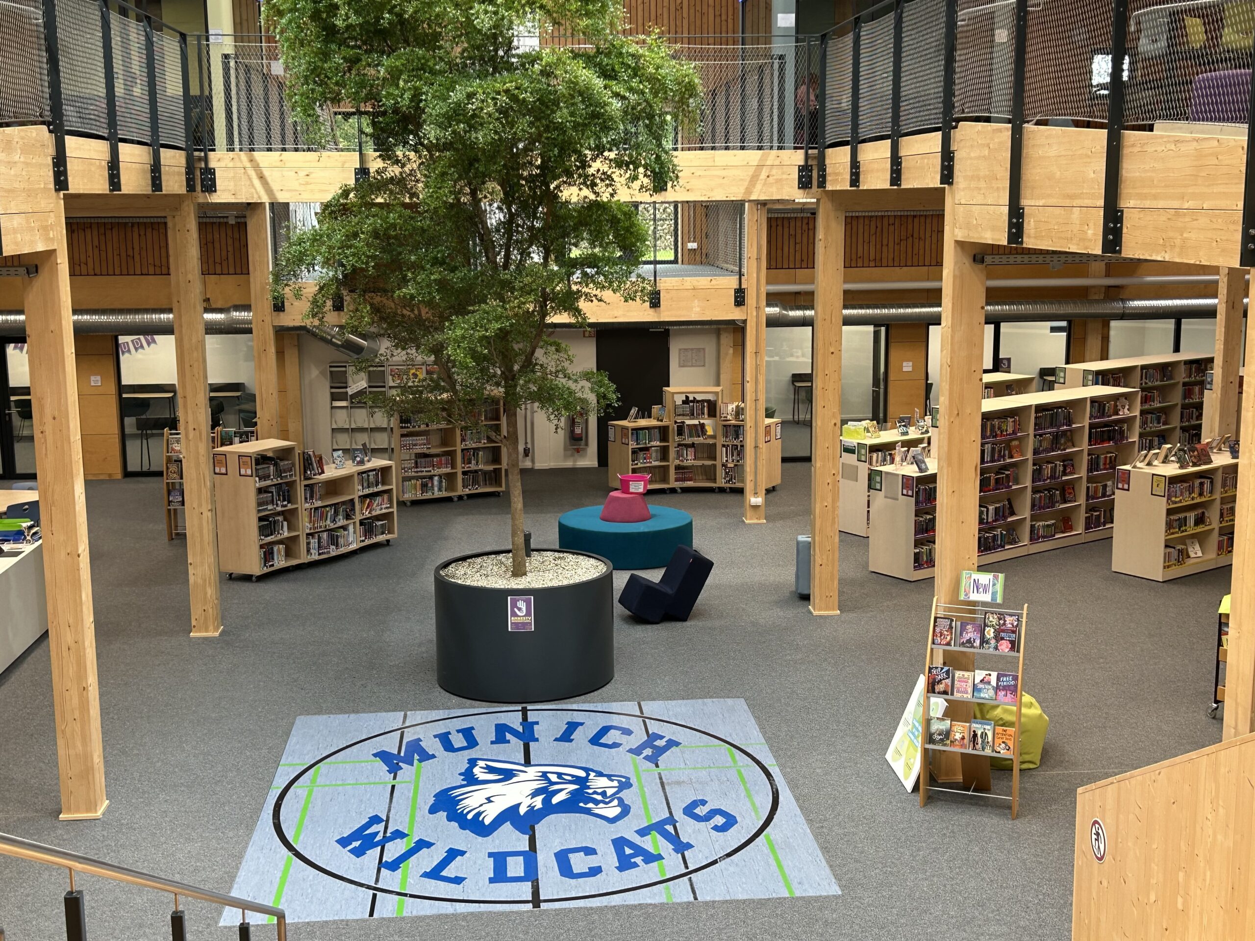 The New MIS Learning Nexus