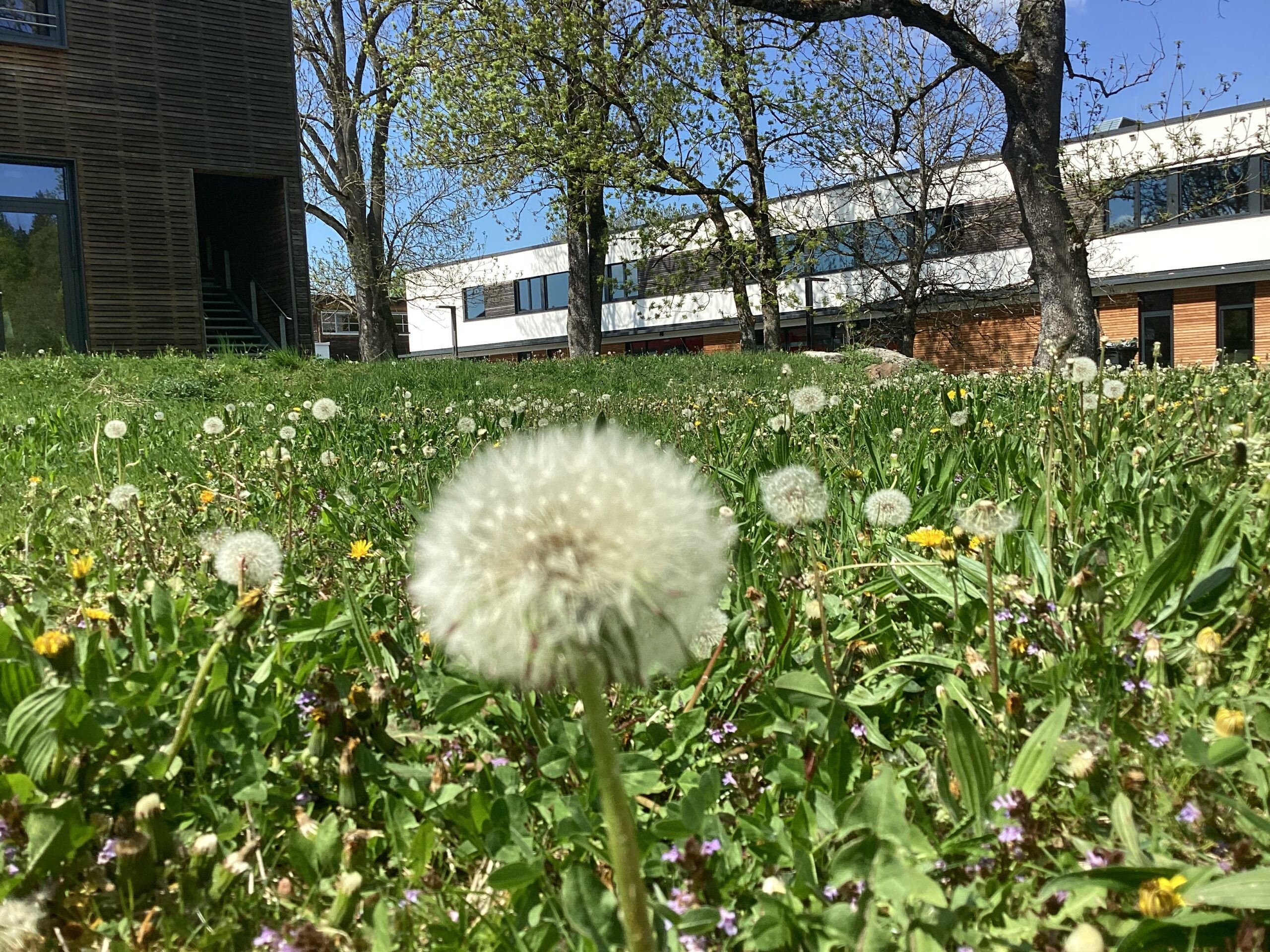 Earth Day Activities at MIS