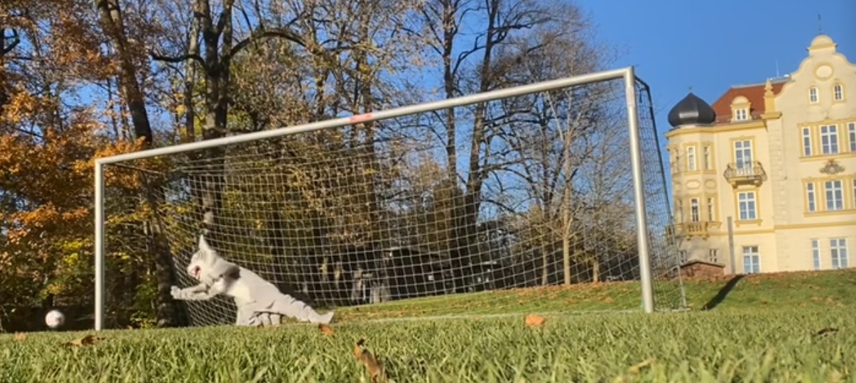 Football Team Speaks Out Inside the Junior Varsity Football Group