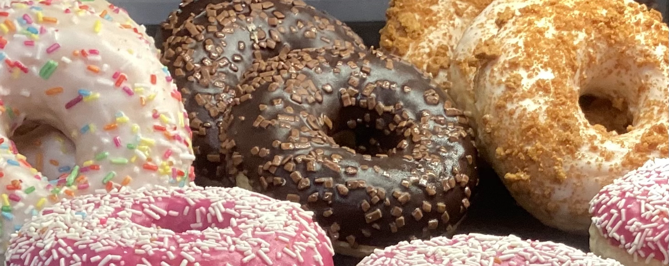 Picky Eater’s Rulebook: Chapter 1: No flavor!